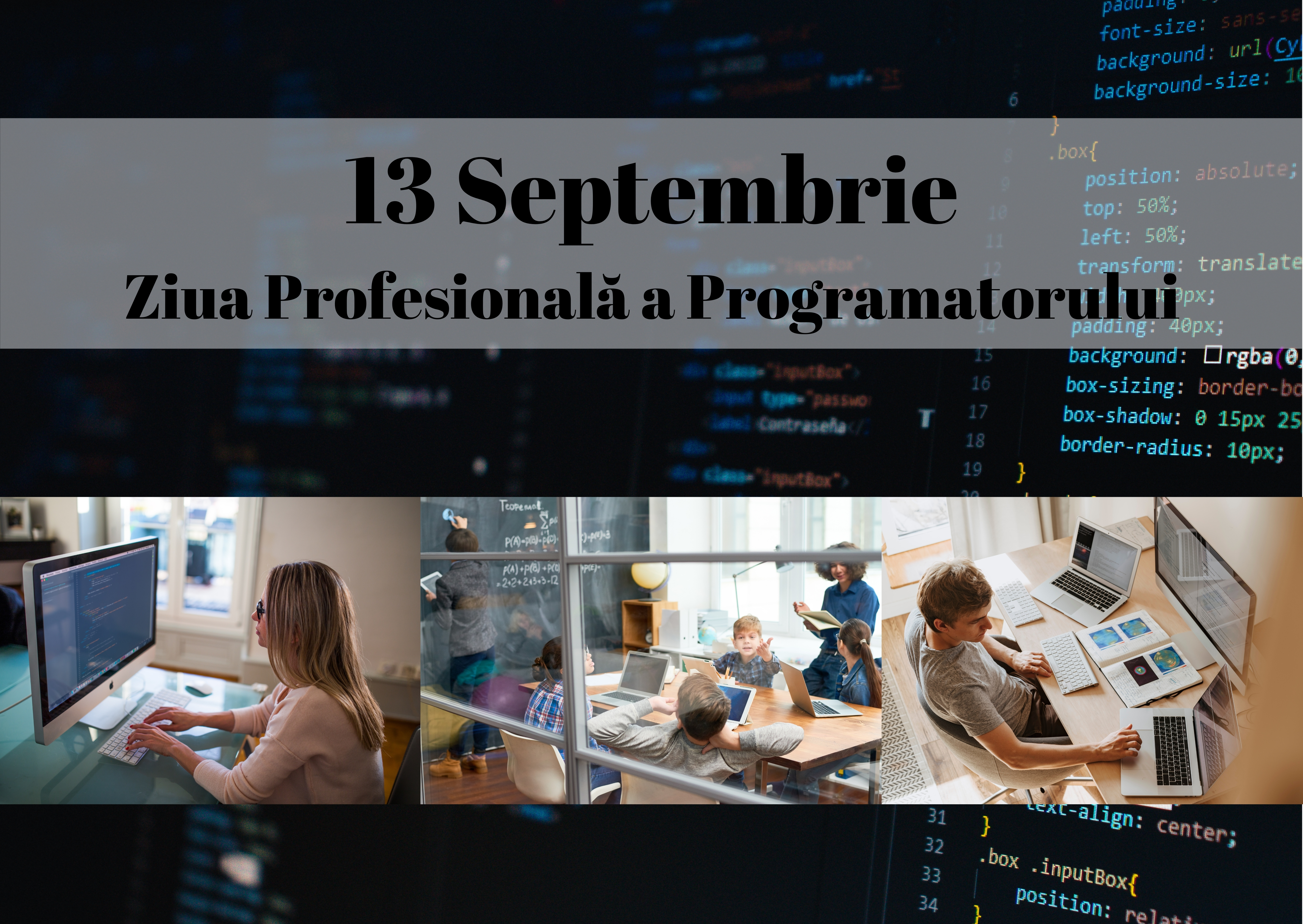 Ziua Profesională a Programatorilor