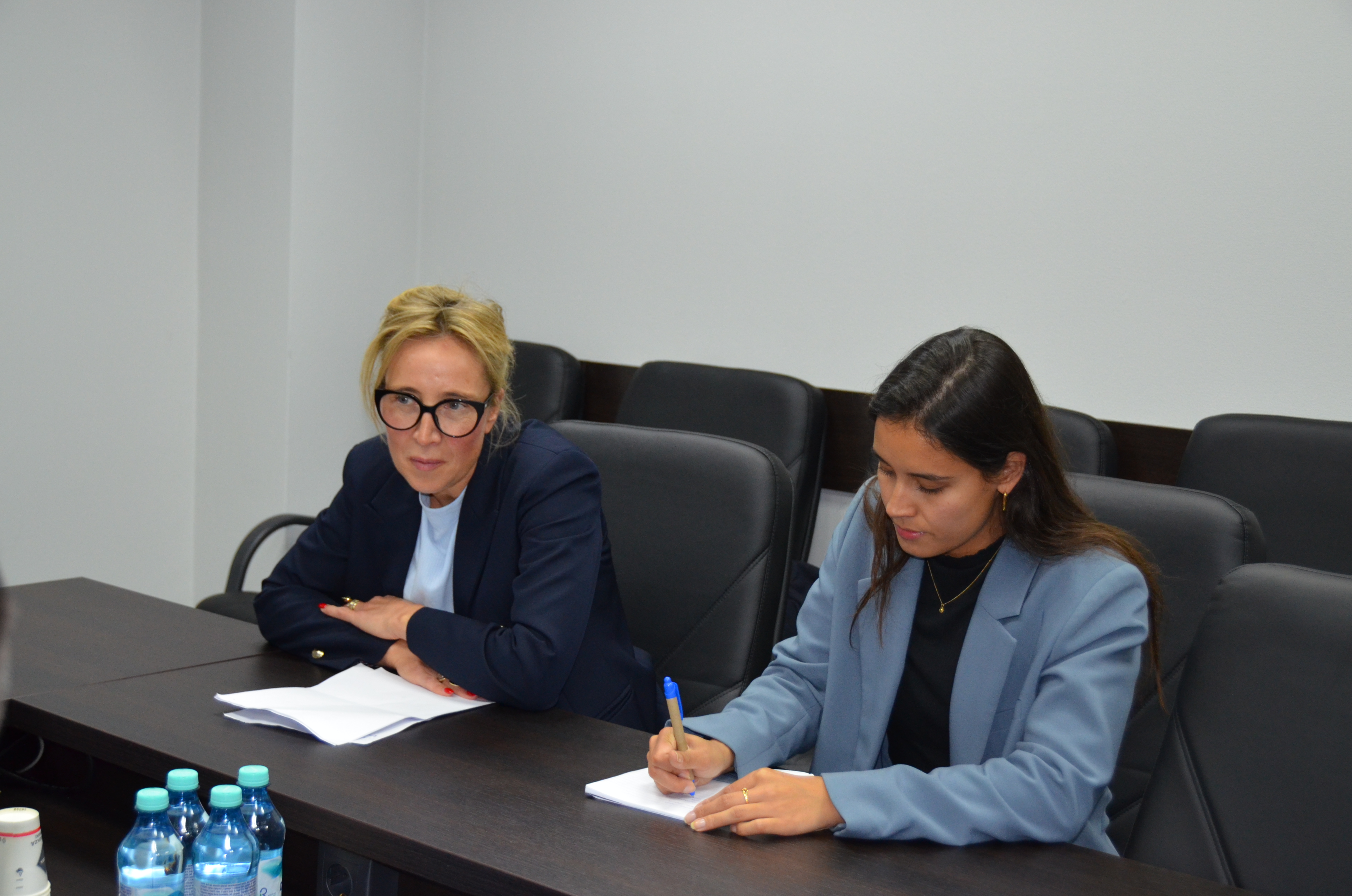 Întrevedere de lucru