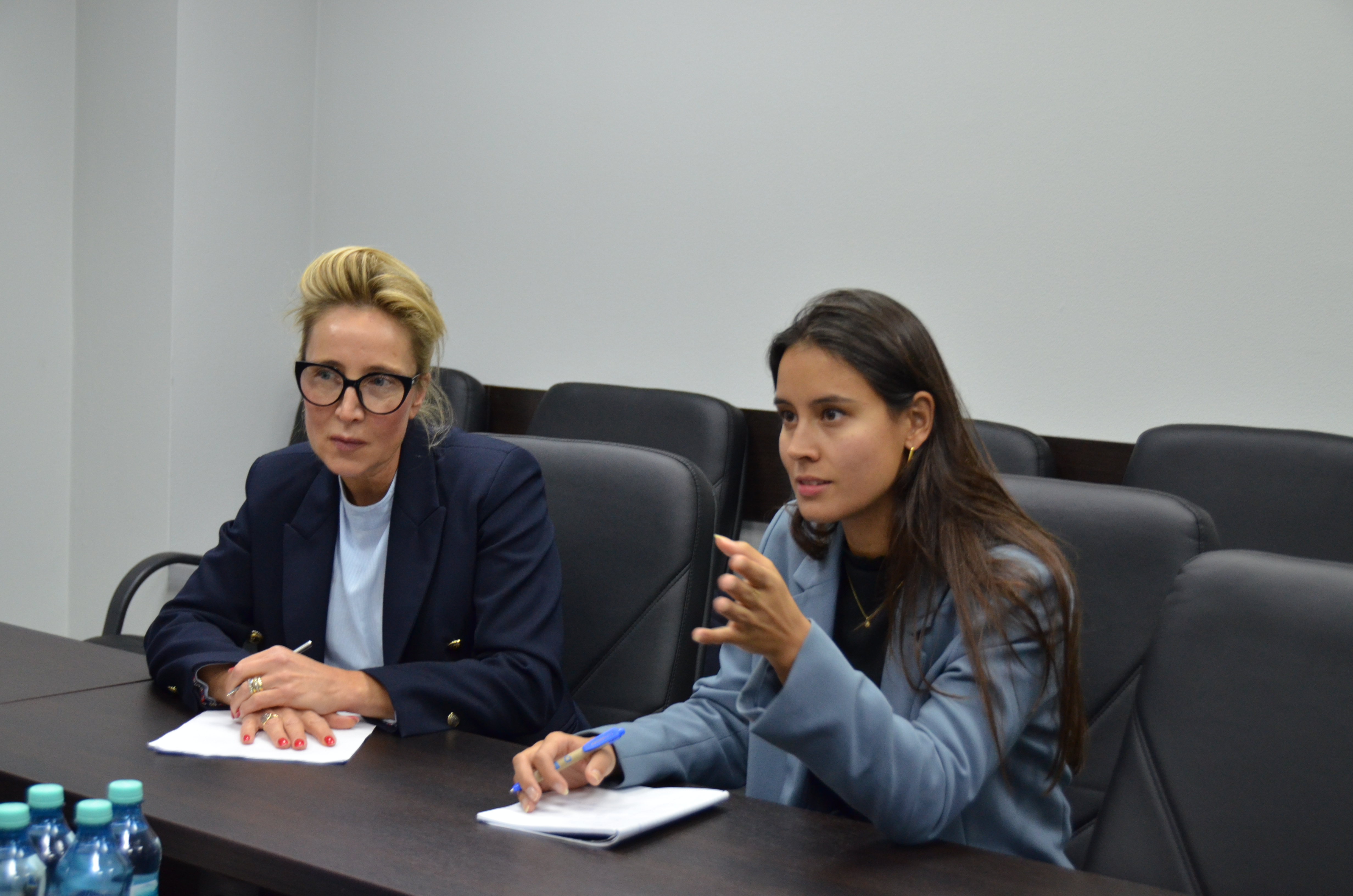 Întrevedere de lucru