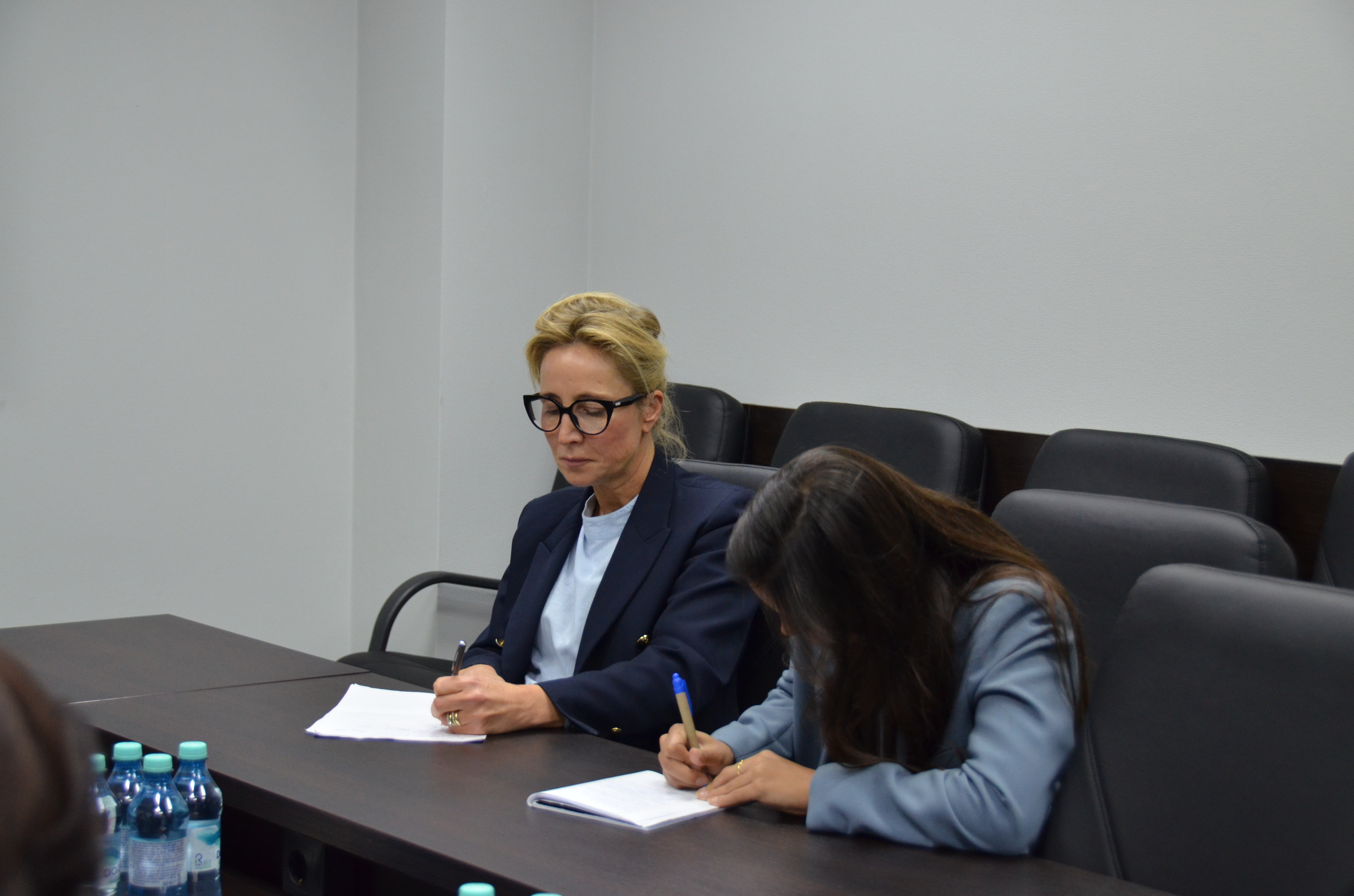 Întrevedere de lucru