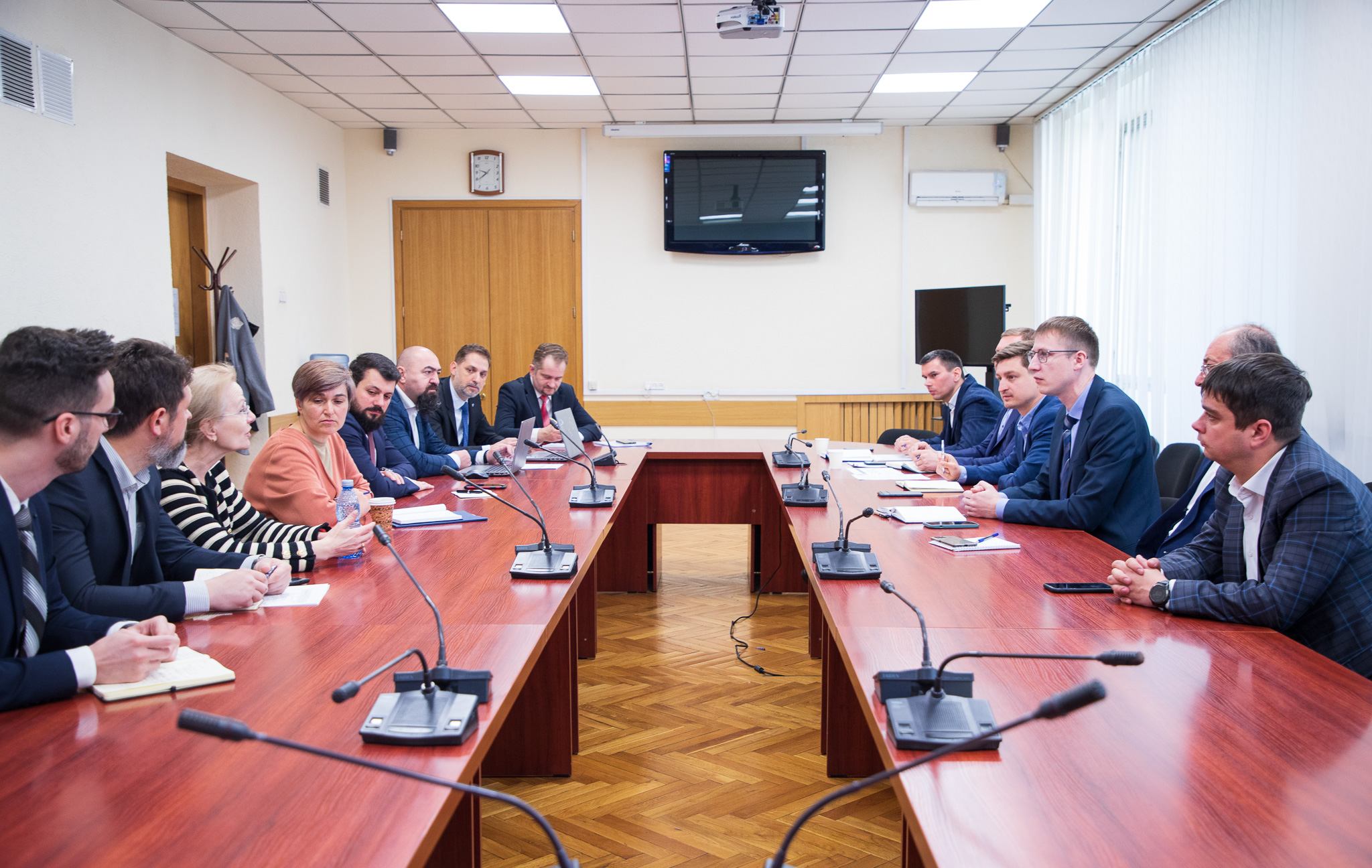 Întrevedere cu experți români