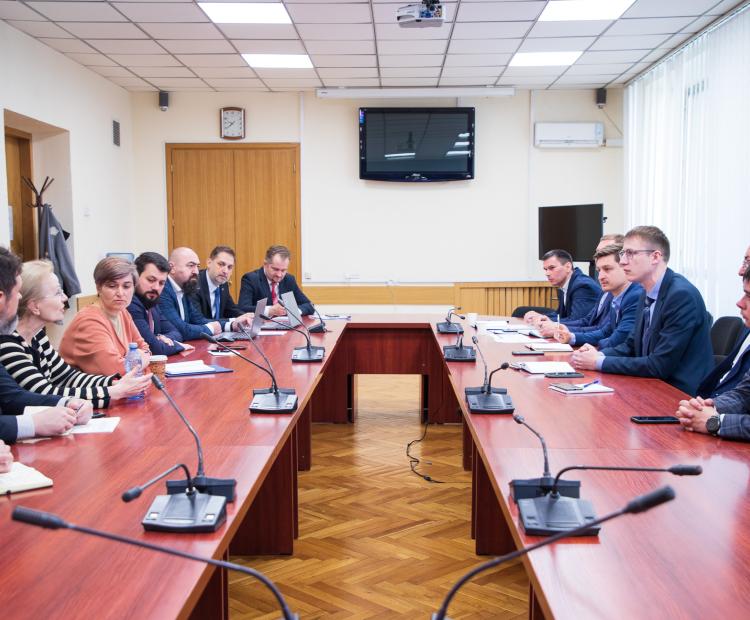 Întrevedere cu experți români